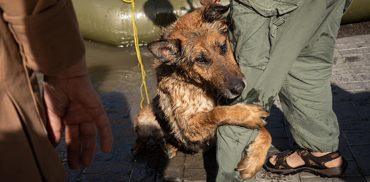 Μια αγκαλιά ευγνωμοσύνης